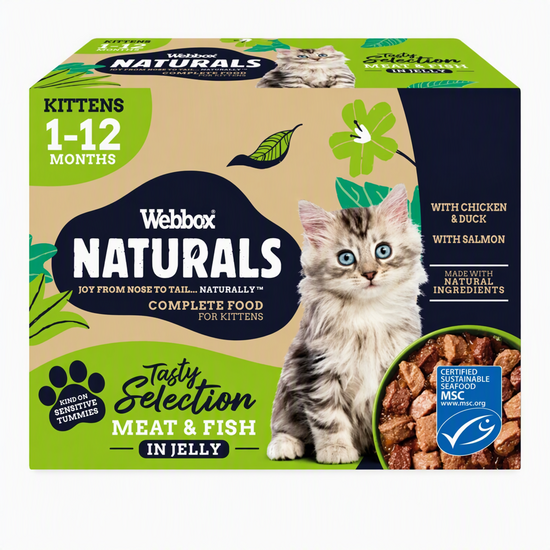 Webbox Naturals Kitten Wet Cat Food Meat and Fish Selection in Jelly 100g Pouche 21099