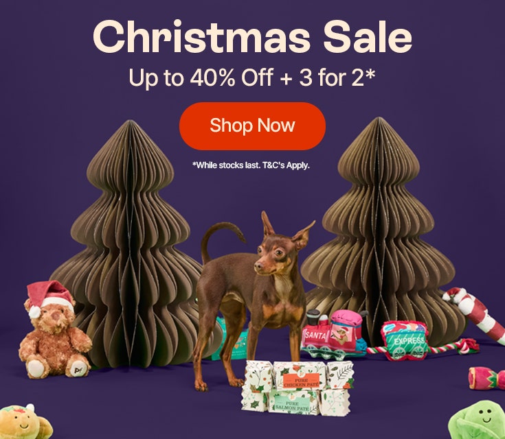 Christmas Sale Up to 40% Off + 3 for 2*