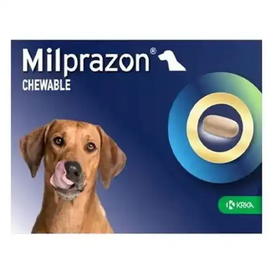 Milprazon Chewable Film-Coated Tablets for Dogs 12.5mg/125mg (5kg and over) 10537