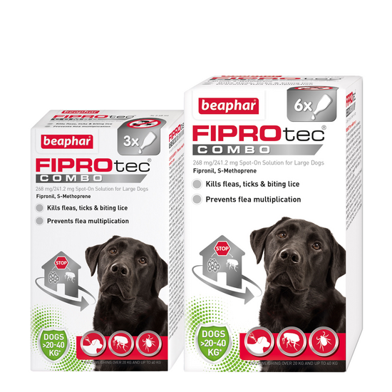 Beaphar FIPROtec COMBO Flea
