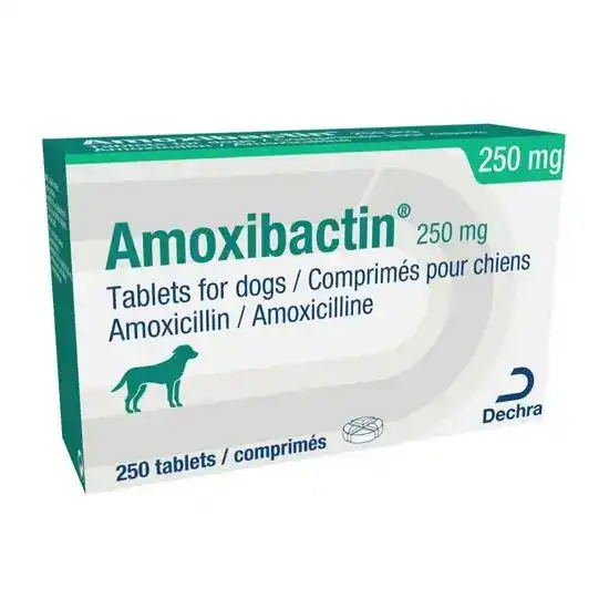 Amoxibactin Tablets for Dogs 250mg 19105
