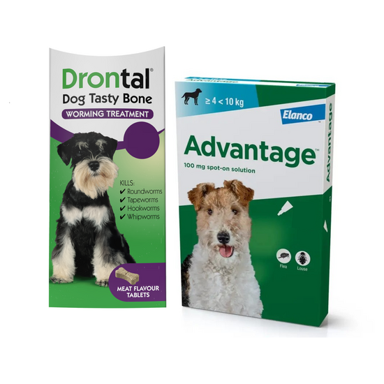 12-Month Flea & Worm Treatment for Dogs 4kg - 40kg: Advantage Spot-On & Drontal 18734