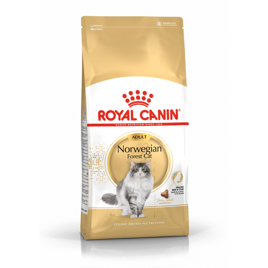 Royal Canin Adult Norwegian Forest Dry Cat Food 20194