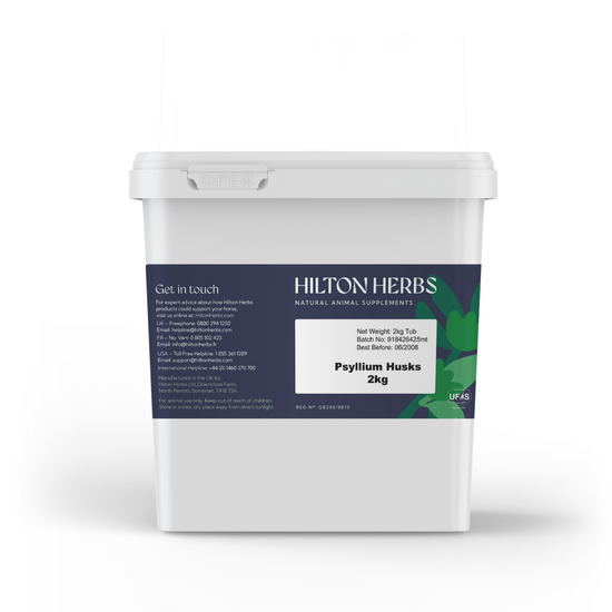 Hilton Herbs Psyllium Husks Digestive Support Supplement for Horses 2kg Tub 2573