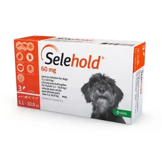 Selehold Spot-On Solution for Small Dogs 60mg (5.1kg-10kg) 4464