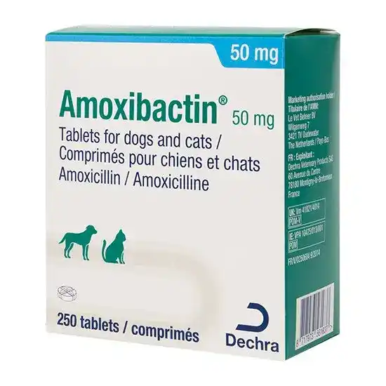 Amoxibactin Tablets for Dogs and Cats 50mg 10632