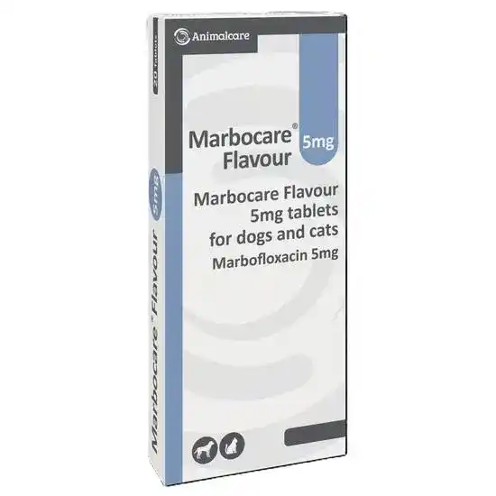 Marbocare Flavoured Tablets for Dogs and Cats 5mg 19534
