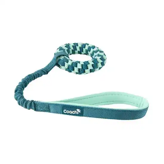 Coachi Puppy & Mini Tuggi Helix Dog Toy Teal & Mint 19613