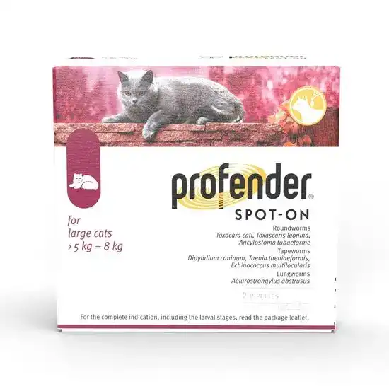 Profender Spot-On Solution for Large Cats (5kg-8kg) 3054
