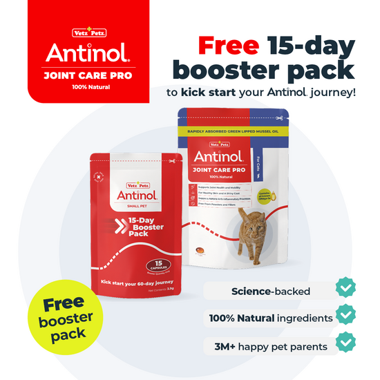 Antinol Joint Care Pro Soft Gel Capsules for Cats with Free 15 Days Booster Pack 18939