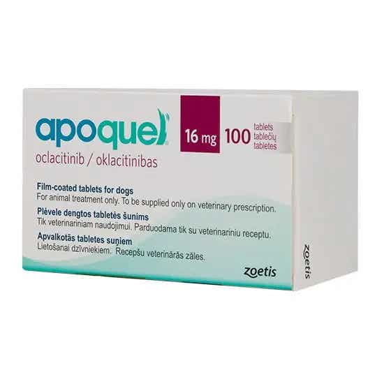 16 mg tablet dog allergy medication apoquel