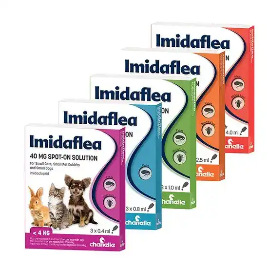 Imidaflea Spot-On Solution Flea Treatment for Dogs