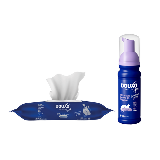 DOUXO Skin and Coat Spa Refresh Cat Bundle: Leave-on Mousse and Grooming Wipes 20778