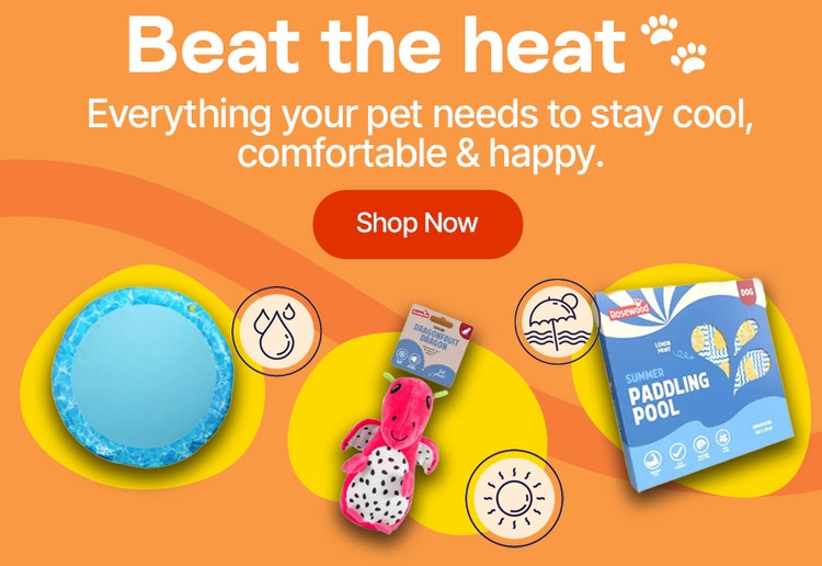 Beat the heat - Everything your pet needs to stay cool, comfortable & happy. Shop Now
