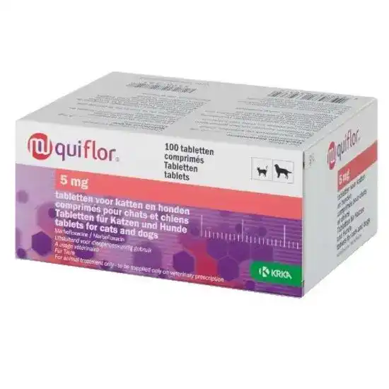 Quiflor Flavoured Tablets for Cats and Dogs 5mg 16545
