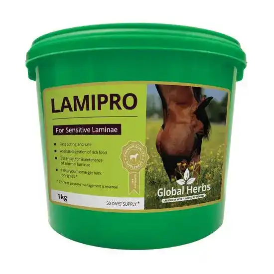 Global Herbs LamiPro Horse Laminae Support Supplement Powder 19742