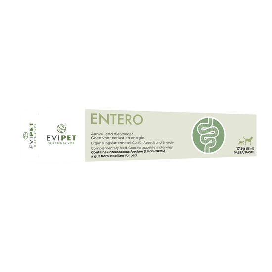 Evipet Entero Paste for Digestive Function in Cats and Dogs 15837