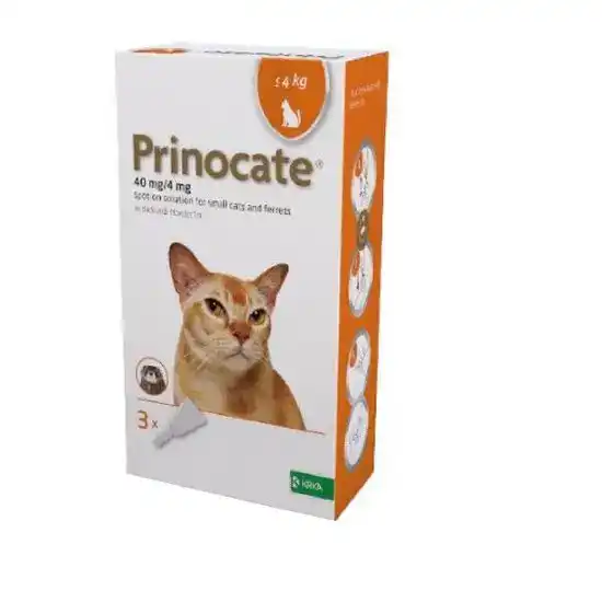 Prinocate Spot-On Solution for Cats and Ferrets 40mg/4mg (up to 4kg) 4672