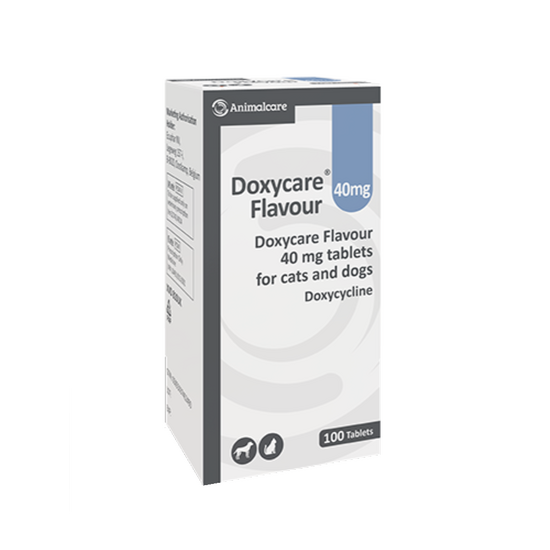 Doxycare Flavoured Tablets for Cats and Dogs 40mg 19100