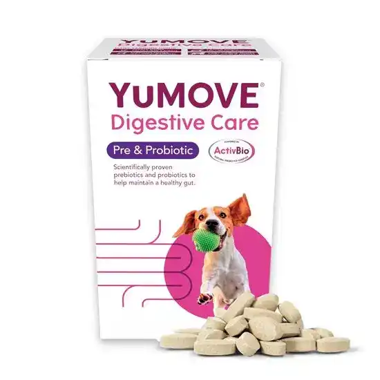 YuMOVE Digestive Care for Dogs 3539