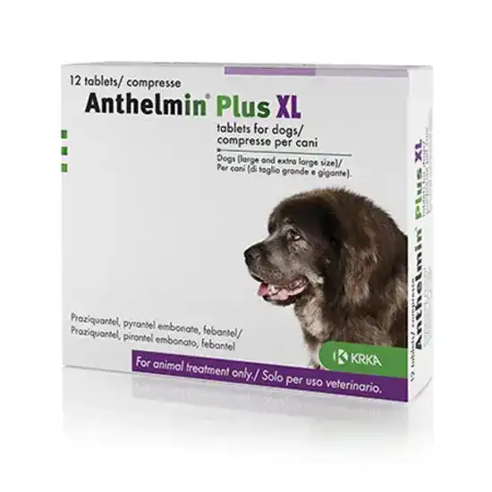 Anthelmin Plus XL Flavoured Worming Tablets for Large and Extra Large Dogs 175mg 16553