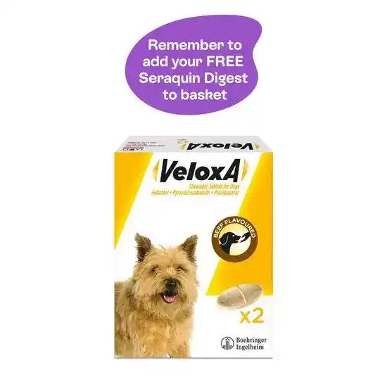 Veloxa Chewable Worming Tablets for Small and Medium Dogs 2.5kg-20kg 9228