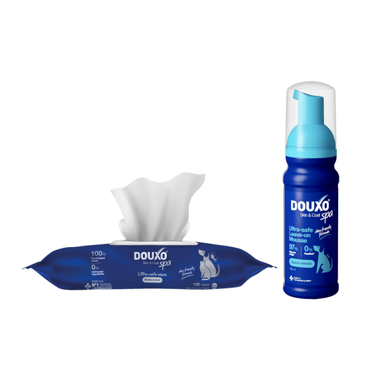 DOUXO Skin and Coat Spa Quick Refresh Dog Bundle: Leave-on Mousse and Grooming W 20779
