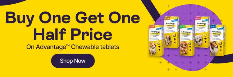 Buy 1 get 1 half price on Advantage Chewable Tablets