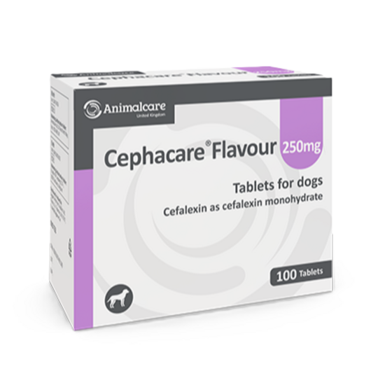 Cephacare Flavoured Tablets for Dogs 250mg 2982