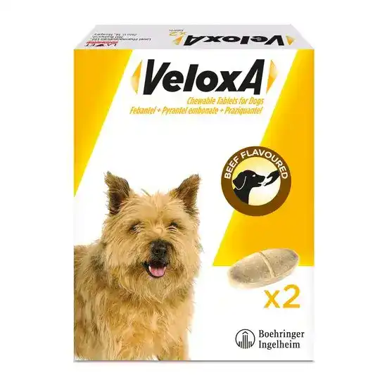 Veloxa Chewable Worming Tablets for Small and Medium Dogs 2.5kg-20kg 9228