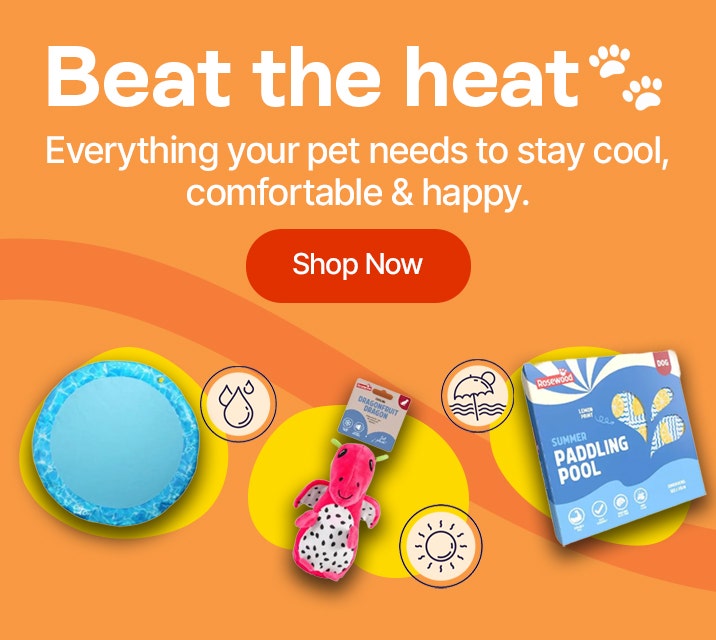 Beat the heat - Everything you pet needs to stay cool, comfortable & happy. Shop Now