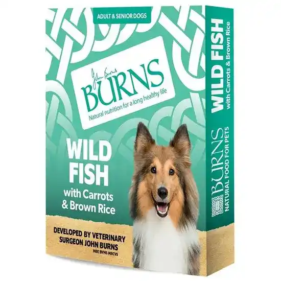 Burns Adult & Senior Wet Dog Food with Wild Fish 19495