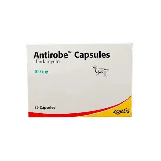 Antirobe Capsules for Dogs 300mg 2958