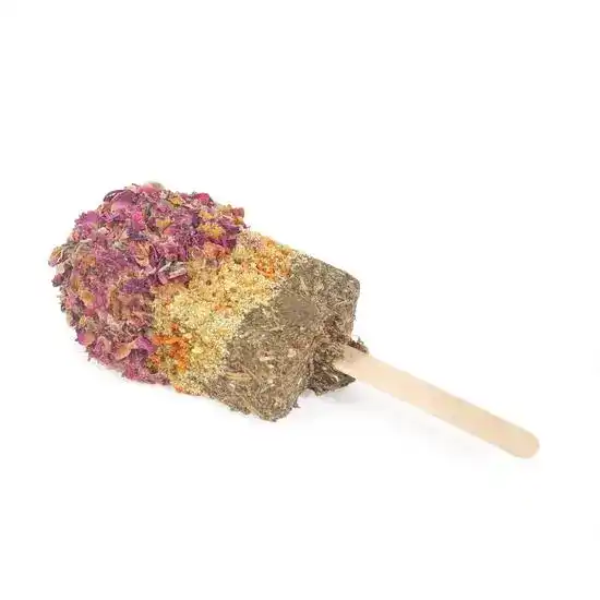 Rosewood Naturals Rose 'N' Herb Ice Lolly Small Animal Treat 1 Piece 19794