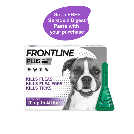 FRONTLINE PLUS Spot-On Flea and Tick Treatment for Large Dogs (20kg-40kg) 9991