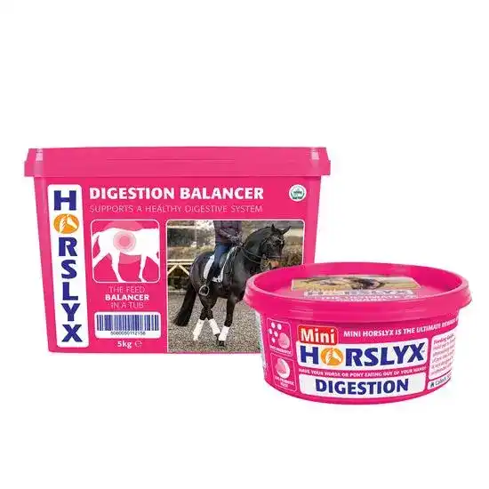 Horslyx Digestion Horse Balancer Lick 19851