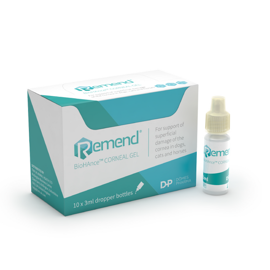 Remend BioHAnce Corneal Gel for Dogs