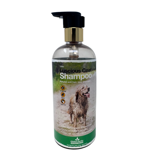 Global Herbs Luscious Coat Dog Shampoo 19801