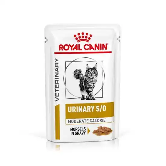 Royal Canin Veterinary Urinary S/O Moderate Calorie Wet Cat Food Morsels in Grav 15902