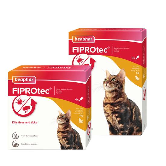Beaphar FIPROtec Spot-On Flea and Tick Treatment for Cats 15779