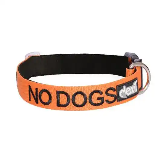 Dexil No Dogs Awareness Dog Collar Orange 18604