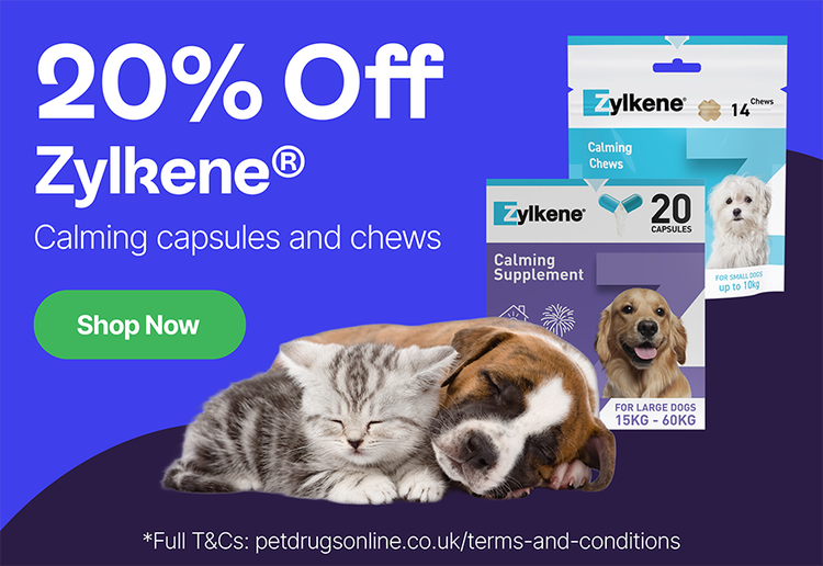 20% Off* Zylkene Capsules & Chews*