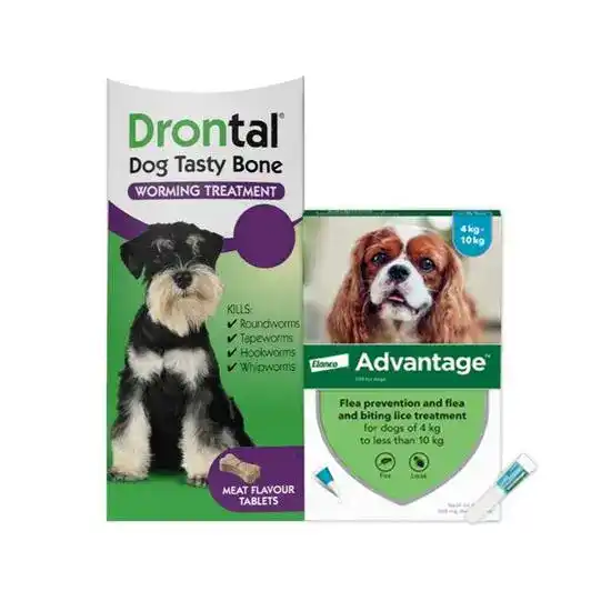 Dogs 4kg-10kg: 3-Month Advantage Spot-On Flea Treatment with Drontal Tablet Worm Treatment 15739