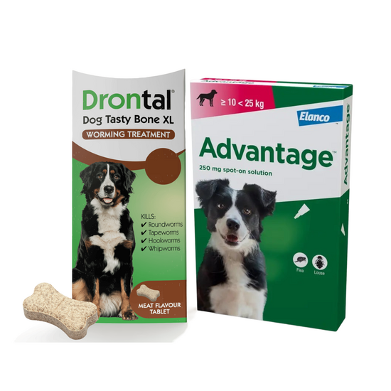 Dogs 20kg-25kg: 3-Month Advantage Spot-On Flea Treatment with Drontal Tablet Worm Treatment 15741
