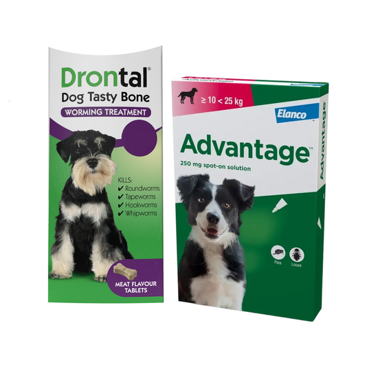 Dogs 10kg - 20kg: 3-Month Advantage Spot-On Flea Treatment with Drontal Tablet Worm Treatment 15740