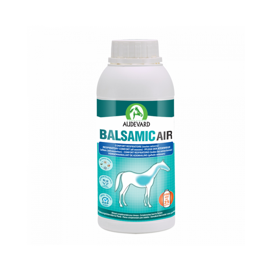 Audevard Balsamic Air Respiratory Comfort Nutritional Support Syrup for Horses 11525