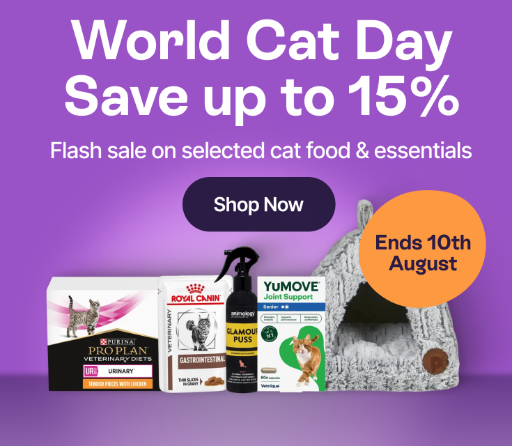 World Cat Day - Save up to 15% - Shop Now