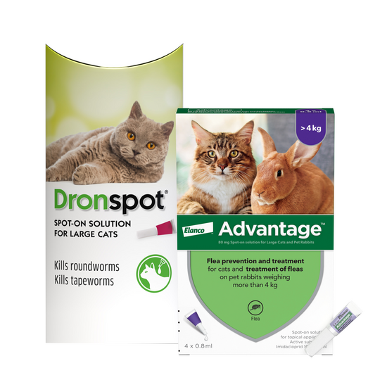 Cats 5kg-8kg: 3-Month Advantage Spot-On Flea Treatment with Dronspot Spot-On Wormer 15747