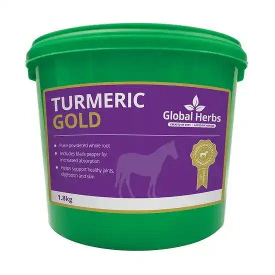 Global Herbs Turmeric Gold Horse Supplement Powder 19754