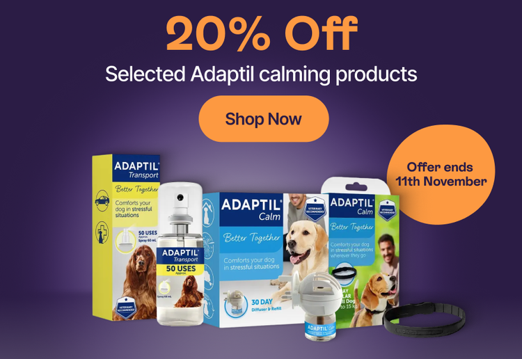 20% Off Selected Adaptil calming products - Shop Now